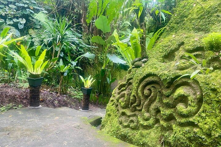 Ubud's 4 Easy-Access Waterfalls: Private All-Day Photo & Swim Tour photo 5