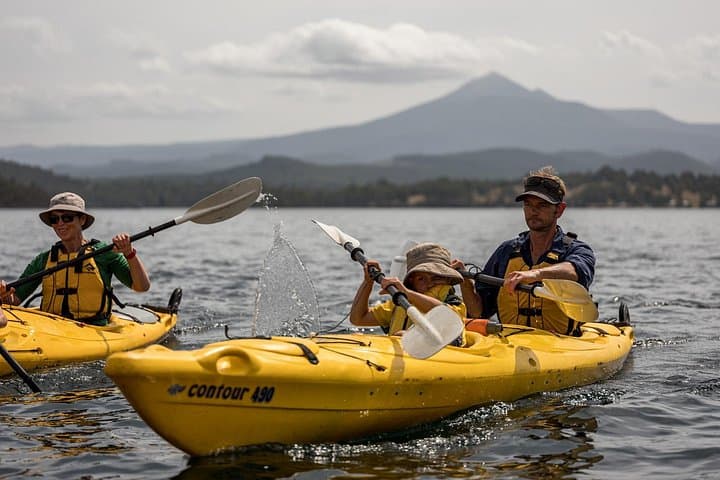 Huon Valley Kayaking & Tahune Airwalk: Day Tour from Hobart photo 1