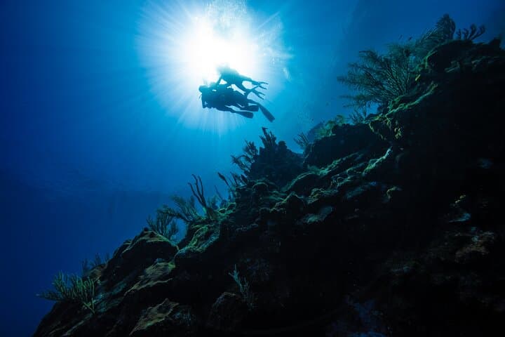 Discover Scuba Diving in Roatan — Private Upachaya Intro Dive with Transfer photo 6