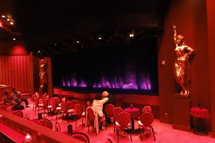 Paris Night Tour: Crazy Horse Cabaret & Wine Tasting (5-Hour Private Chauffeur) photo 4