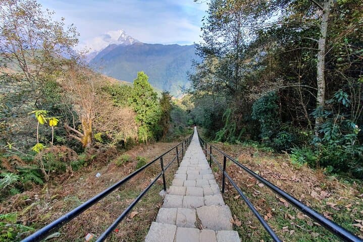 Poon Hill Sunrise Trek: Annapurna Short Trek to Ghorepani & Poon Hill photo 4