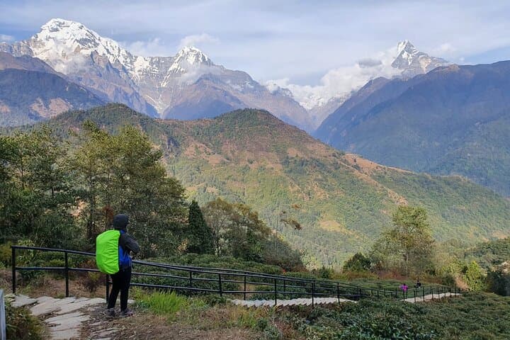 Poon Hill Sunrise Trek: Annapurna Short Trek to Ghorepani & Poon Hill photo 5