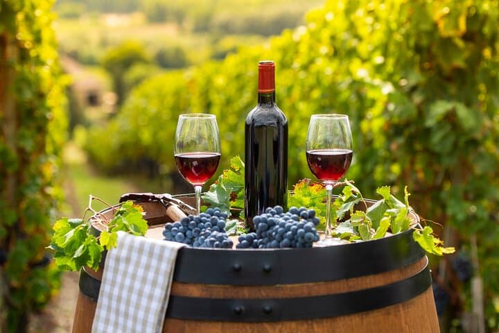 Private Cape Winelands Full-Day Wine Tasting — Stellenbosch & Franschhoek