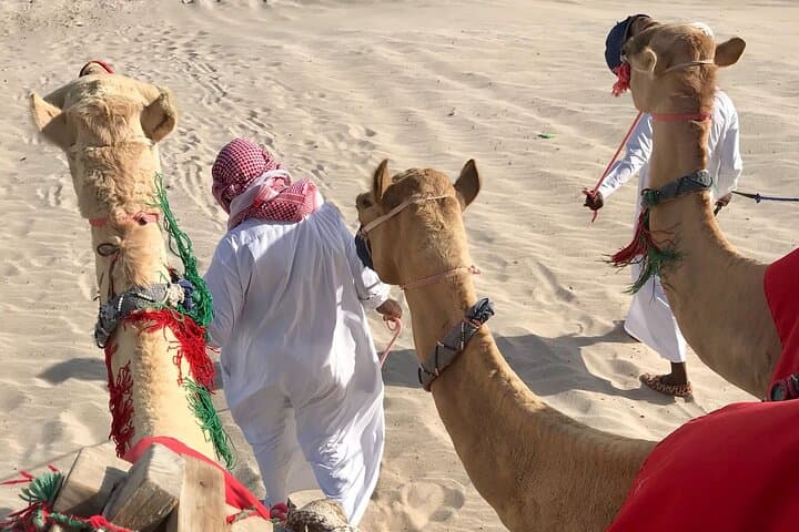 Sunset Camel Trekking on Qatar's Sealine Dunes