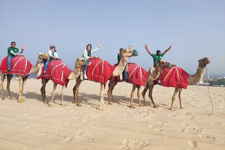 Sunset Camel Trekking on Qatar's Sealine Dunes photo 4