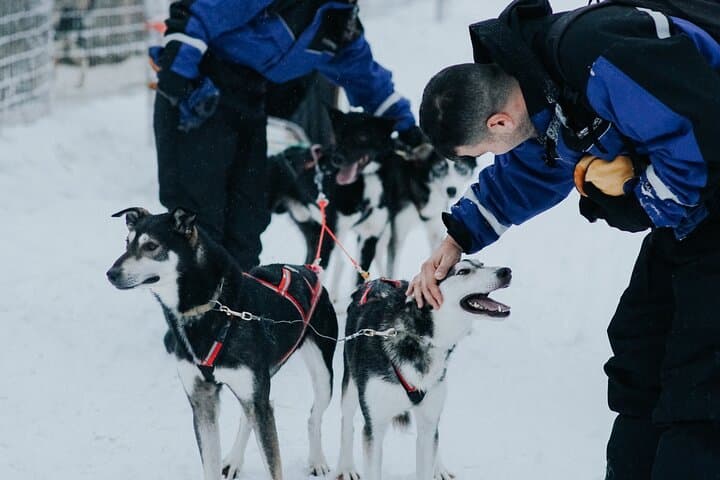 Levi family snowmobiling, husky & reindeer farm day trip photo 5
