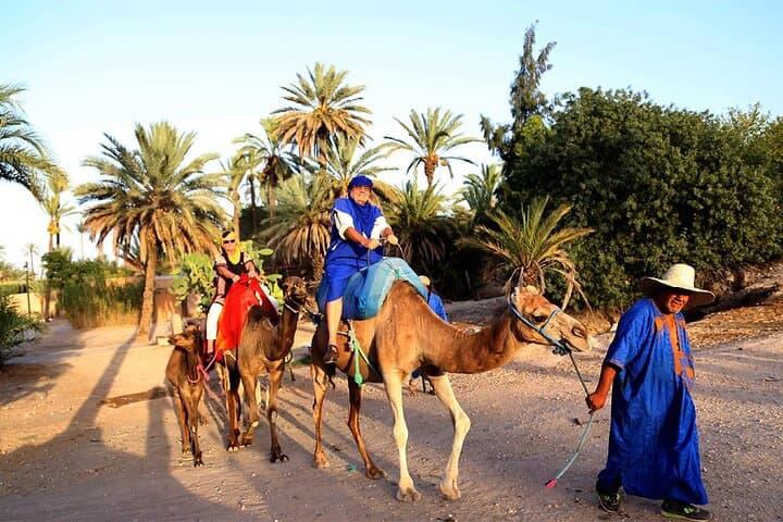 Majorelle Garden & Palmeraie Camel Ride — Half-Day Marrakech Escape photo 2