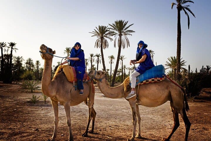Majorelle Garden & Palmeraie Camel Ride — Half-Day Marrakech Escape photo 5