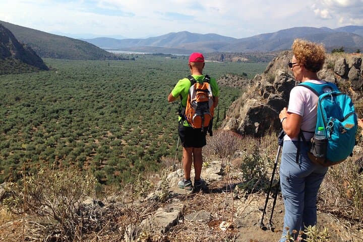 Delphi Private Day Tour: Hiking, Biking & Olive Oil Workshop from Athens