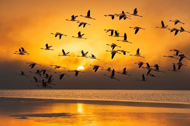 Sandwich Harbour Dune Drive: Private 4x4 Tour from Walvis Bay