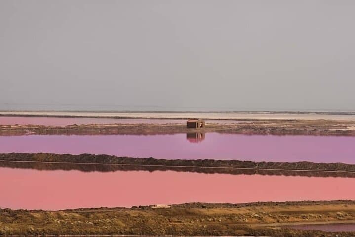 Sandwich Harbour Dune Drive: Private 4x4 Tour from Walvis Bay photo 3