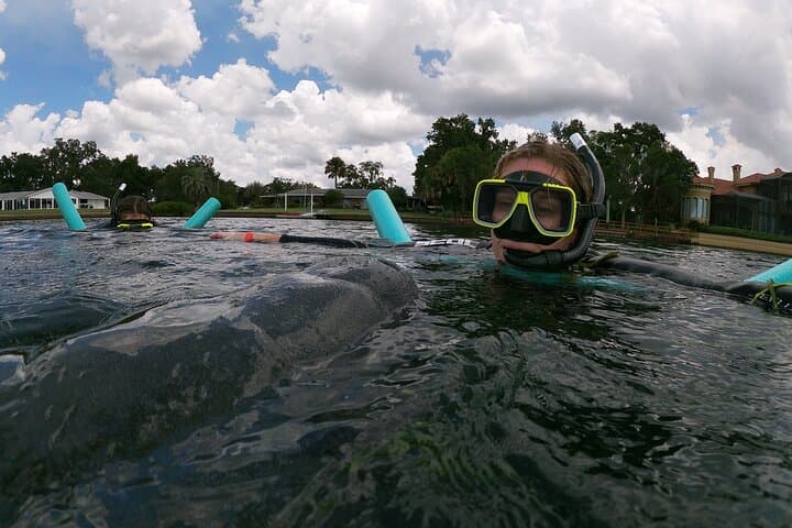 Semi-Private Manatee Snorkel in Crystal River: In-Water Guide Experience photo 2