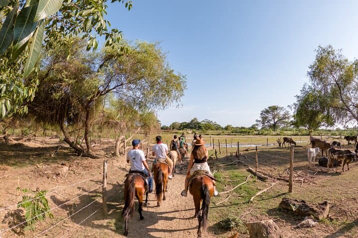 Sunset Horseback Ride on Puerto Escondido’s Oaxacan Coast photo 2