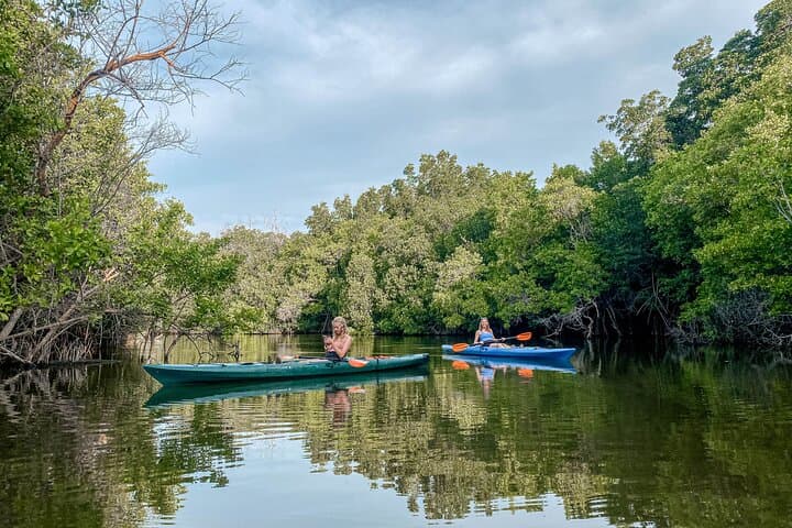 Sunrise Mangrove Kayak Tour at Manialtepec Lagoon — Puerto Escondido photo 3