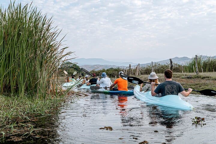 Sunrise Mangrove Kayak Tour at Manialtepec Lagoon — Puerto Escondido photo 2