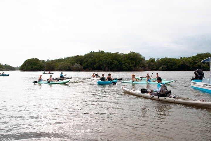 Sunrise Mangrove Kayak Tour at Manialtepec Lagoon — Puerto Escondido photo 4