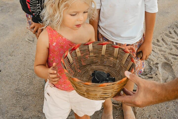 Baby Sea Turtle Release Tour — Sanctuary of Escobilla, Puerto Escondido photo 3