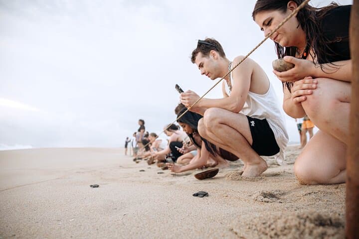 Baby Sea Turtle Release Tour — Sanctuary of Escobilla, Puerto Escondido photo 4