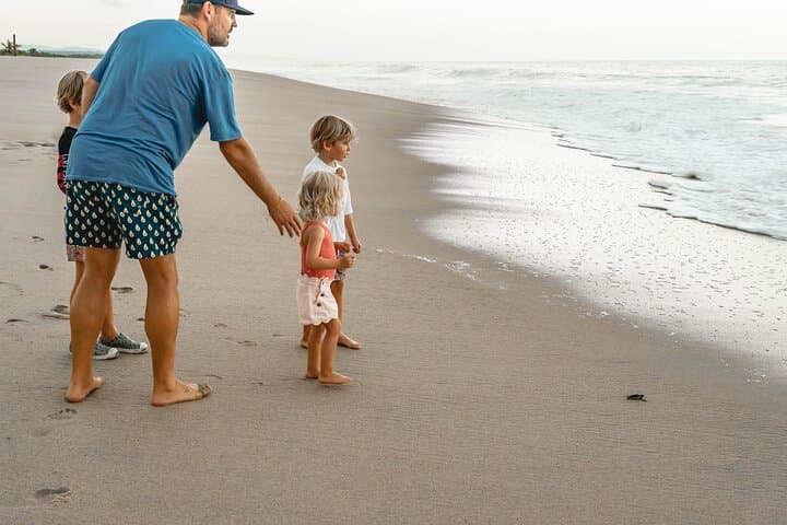 Baby Sea Turtle Release Tour — Sanctuary of Escobilla, Puerto Escondido photo 5