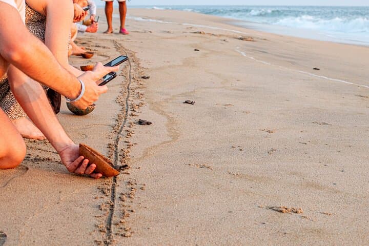 Baby Sea Turtle Release Tour — Sanctuary of Escobilla, Puerto Escondido