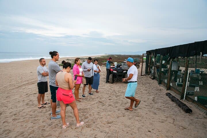 Baby Sea Turtle Release Tour — Sanctuary of Escobilla, Puerto Escondido photo 6