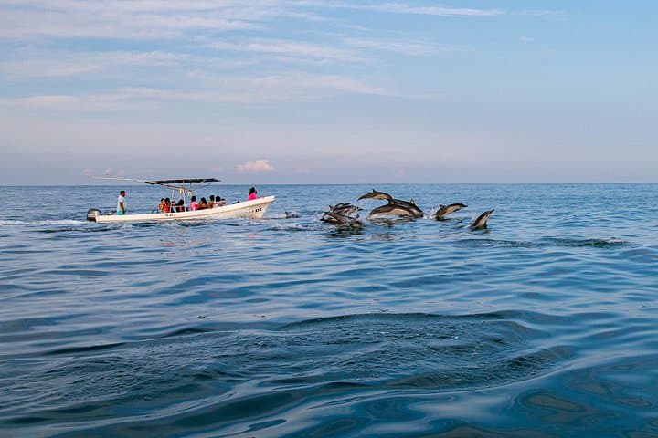 Puerto Escondido Dolphin Watching Cruise — 3‑Hour Marine Wildlife Experience photo 3