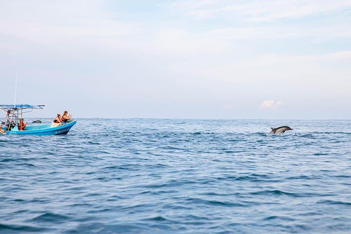 Puerto Escondido Dolphin Watching Cruise — 3‑Hour Marine Wildlife Experience photo 5