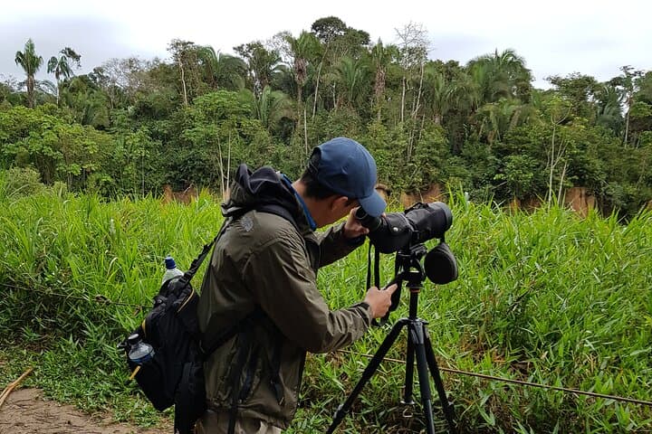 Monteverde Natural History Walk: Guided Cloud-Forest Wildlife Experience photo 5