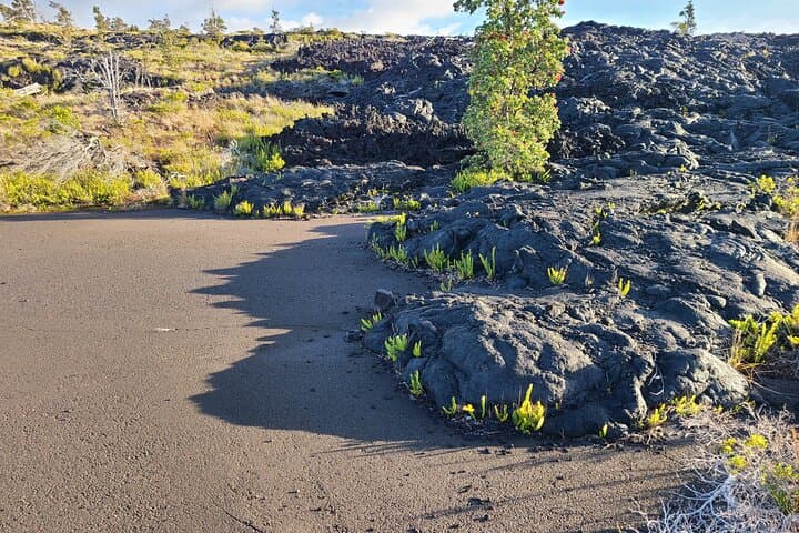 Private Tour of Hawaii Volcanoes National Park — Sunrise, Lava Fields & Steam Vents photo 6