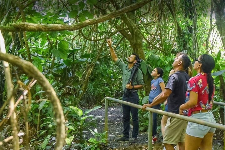 Ecogarden Arenal Sloth Tour — Guided Wildlife Walk Near La Fortuna photo 6