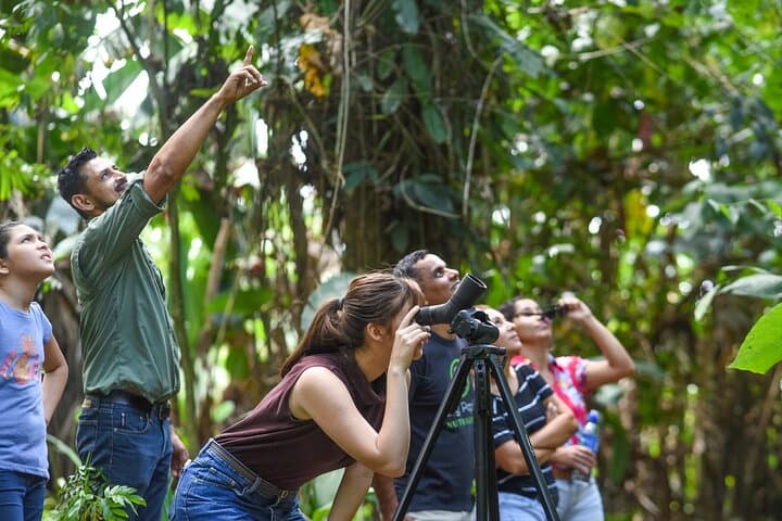 Ecogarden Arenal Sloth Tour — Guided Wildlife Walk Near La Fortuna photo 2