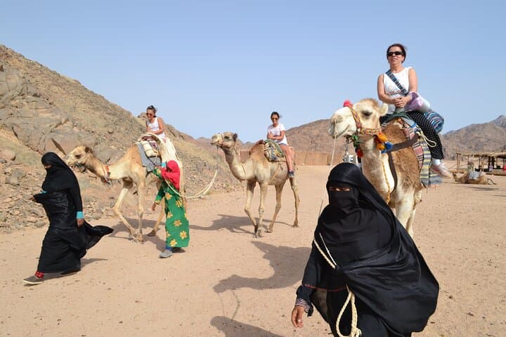 Hurghada Desert Safari: Jeep, Quad, Camel Ride & Bedouin Camp Sunset Experience
