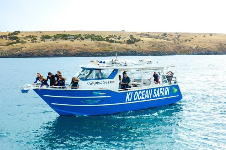 Kangaroo Island Swim with Dolphins & Seals — Coastal Snorkel Safari photo 2