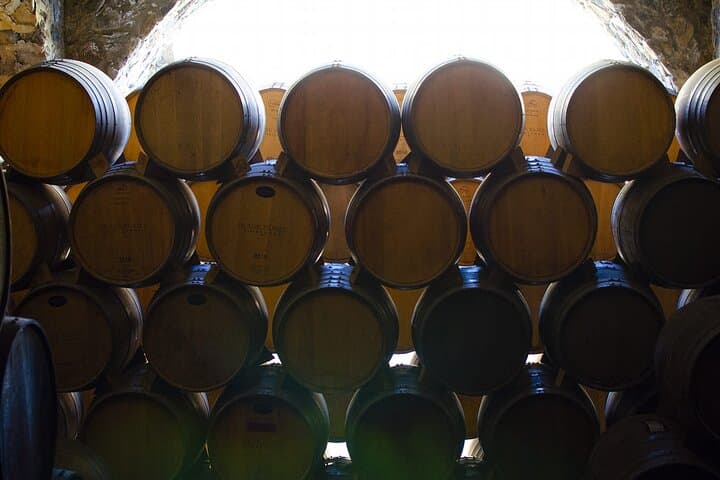 Day Tour to Tequila & Cava de Oro: Agave Fields, Tastings, and Extreme Swing photo 2