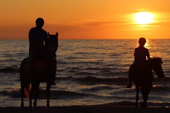 Durrës Beach Horseback Ride: Pine-Forest to Coast 3-Hour Trail photo 2