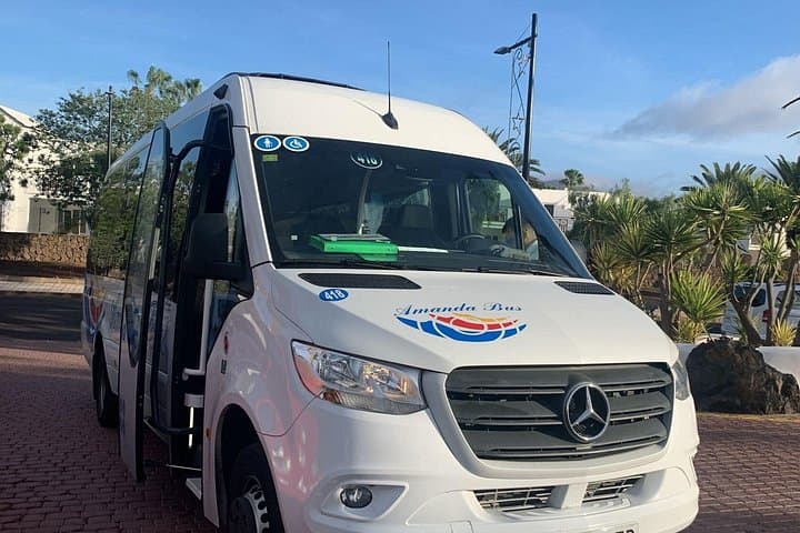 Private Half-Day Tour of Lanzarote — Timanfaya, La Geria & El Golfo photo 1