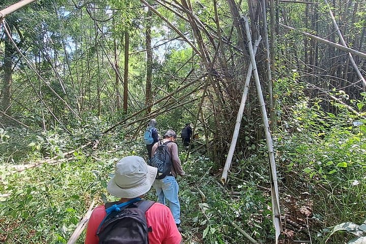 Mae Taeng Overnight Highlands Trek from Chiang Mai: 2-Day Mountain Home-stay Adventure photo 3