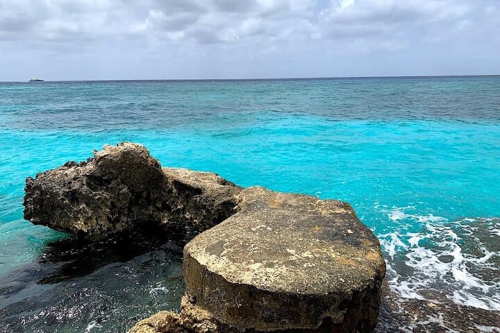 Full-Day Catamaran Snorkel Tour to Cozumel’s Best Reefs from Playa del Carmen photo 5