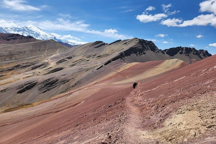 Private Vinicunca (Rainbow Mountain) and Red Valley Day Tour from Cusco photo 3
