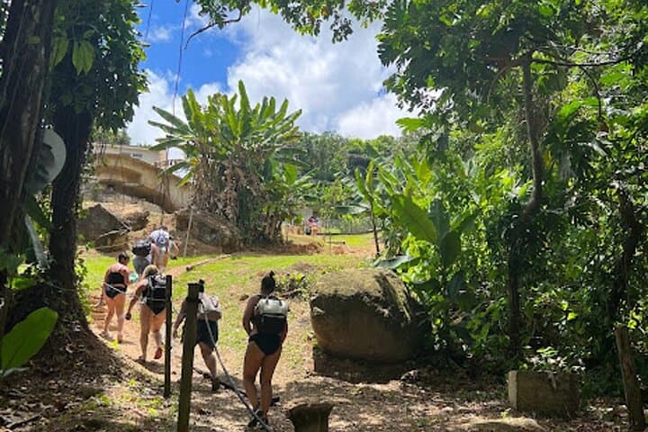 El Yunque Waterslide & Waterfall Tour from San Juan — Natural Rock Slides and Local Food photo 2