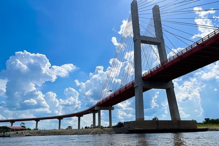 Itaya and Amazon River Confluence Cruise — Dolphin & Riverbank Wildlife Tour