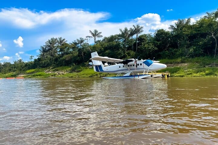 Itaya and Amazon River Confluence Cruise — Dolphin & Riverbank Wildlife Tour photo 2