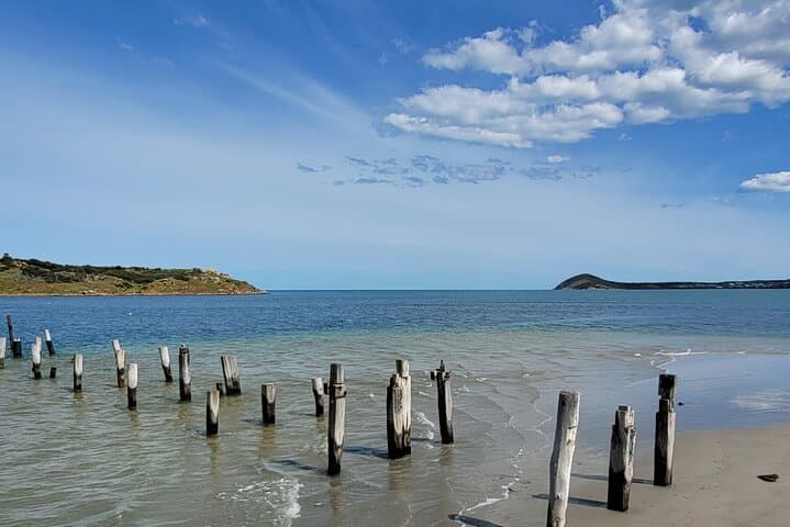 Victor Harbor Walking Tour: History, Granite Island & Encounter Bay Stroll