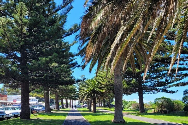 Victor Harbor Walking Tour: History, Granite Island & Encounter Bay Stroll photo 4
