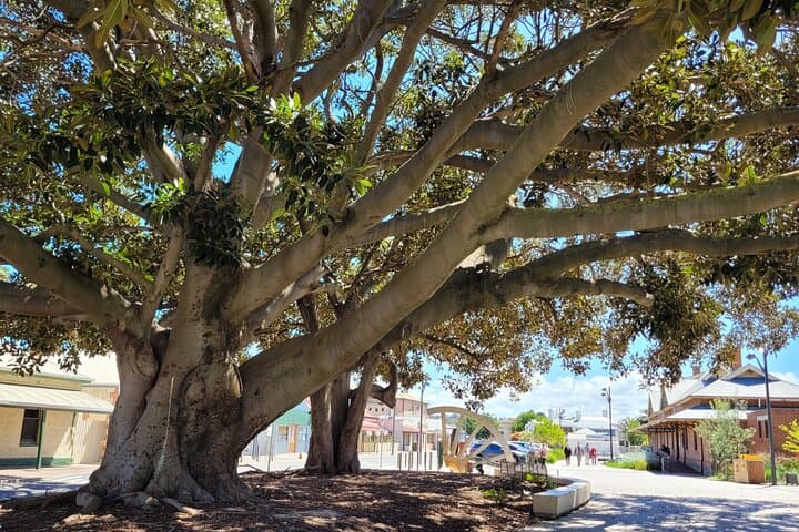 Victor Harbor Walking Tour: History, Granite Island & Encounter Bay Stroll photo 5