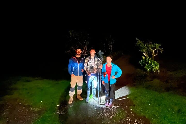 Monteverde Night Walk: Explore Cloud Forest Wildlife After Dark