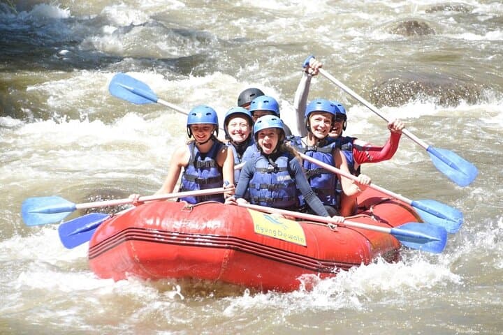 Ayung River Rafting and Tegalalang Rice Terrace: Ubud Full-Day Whitewater & Jungle Swing photo 1