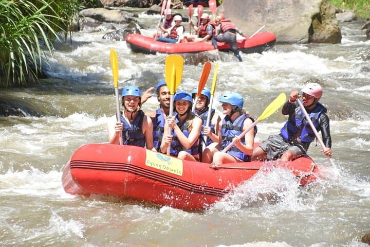 Ayung River Rafting and Tegalalang Rice Terrace: Ubud Full-Day Whitewater & Jungle Swing photo 2