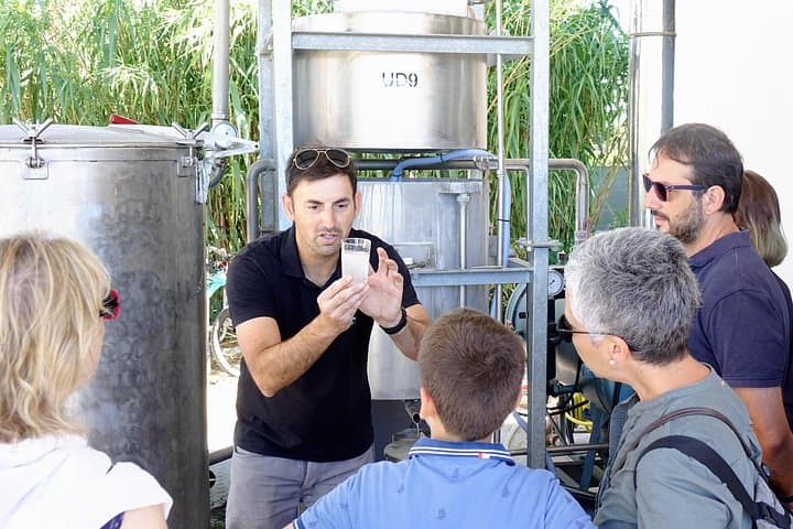 Lavender Distillery Tour Between Provence and the Camargue: From Field to Essential Oil photo 3