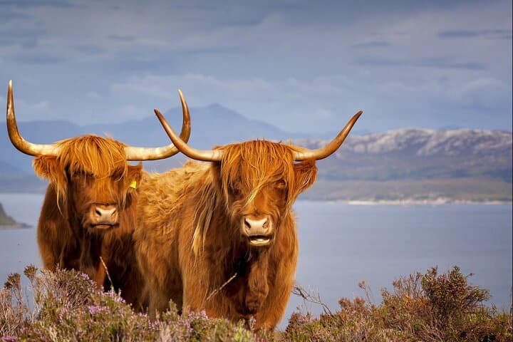 Luxury Private Isle of Skye: Bespoke Day Tour from Inverness photo 3